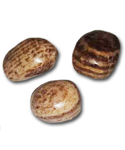 Aragonite Tumbled & Polished Crystal
