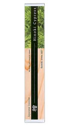 Baieido Mint Incense (Imagine Series) 40 Sticks + Holder