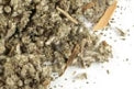 Organic Sage, Cut & Sifted