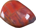 Petrified Wood Tumbled & Polished Crystal