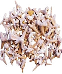Shark Teeth Crystal Raw