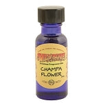 Wild Berry Oil Champa Flower