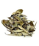 Wildcrafted Yerba Santa Leaf, Whole Leaf