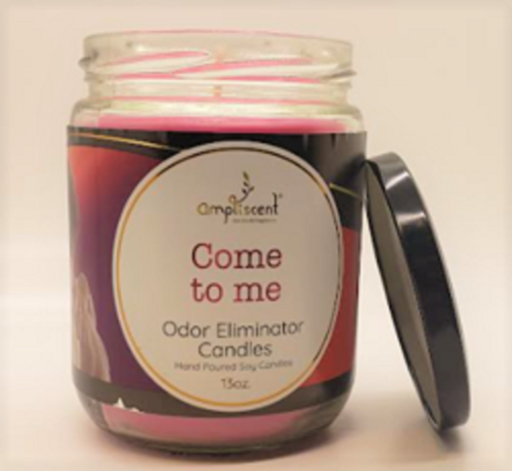 Ampliscent Glass Jar Candles - Odor Eliminator - Come to Me - 13oz