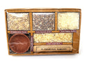 Auroshikha 4 Exclusive Resin Incense Gift Set w Charcoal & Bowl Burner
