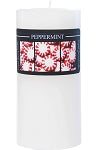Crystal Journey Herbal Magic Pillar Candle 3X6 - Peppermint