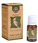 Goloka Essential Oil - 10ml - Eucalyptus