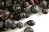 Juniper Berry (Whole,Organic)