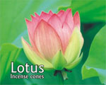 Kamini Cone Incense - Lotus Incense Cones
