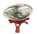 Large Abalone Shell 6-7" with Wooden Tripod Smudge Sage Burner