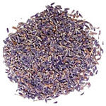 Lavender Blossoms