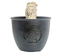 Metal Smudge Pot Pentacle w/ Raven Bowl Incense Burner Black (Large)