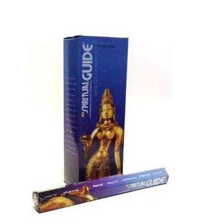 Padmini's Spiritual Guide Incense 20gr