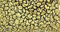 Gourmet Resin Incense - Pagan Magic Gold (SUN) 1.5 oz. Tin