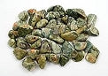 Rainforest Jasper Tumbled & Polished Crystal