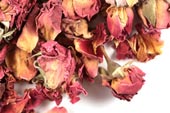 Rose Bud Petals