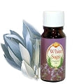 Sandesh (SAC) Aroma Oil 10ml - Sandalwood